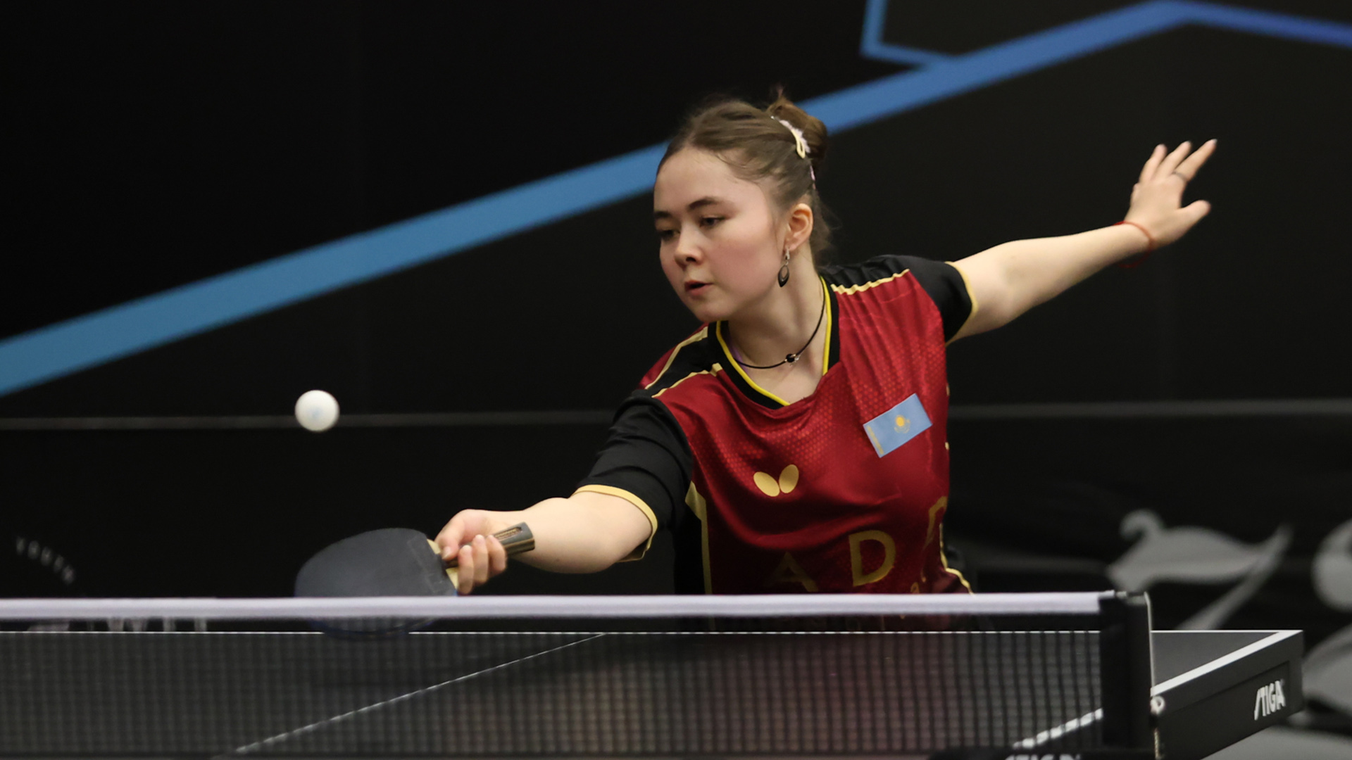 World Table Tennis