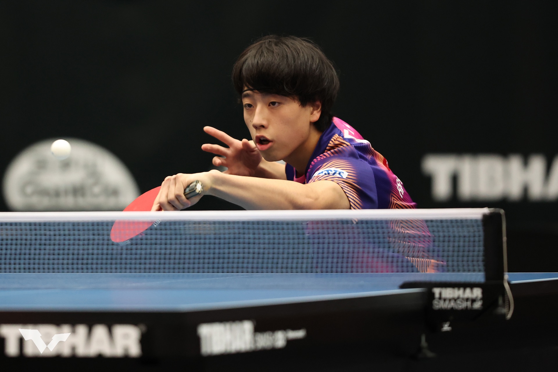 Tsukimoto Makoto/#1729177  Ping pong, Table tennis player, Tennis