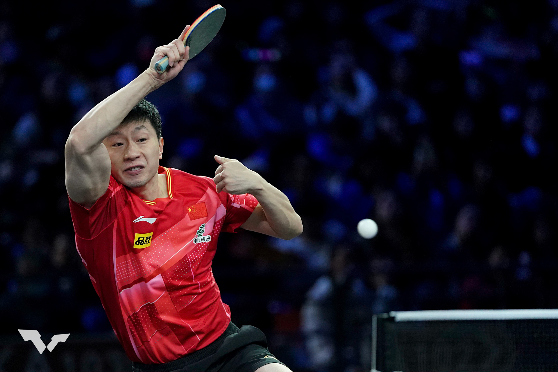 table tennis live streaming free